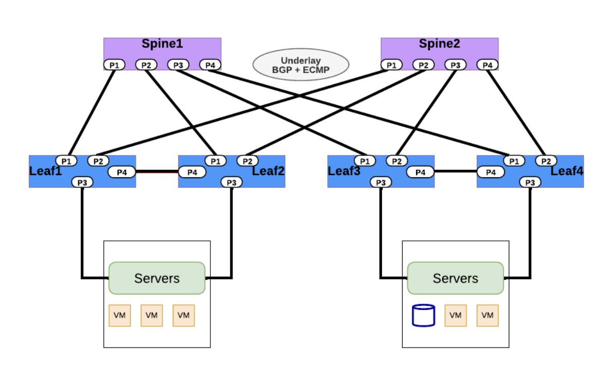 BGP Routing